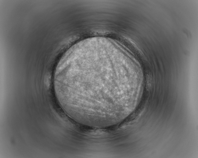 X0000114430451200911061646
