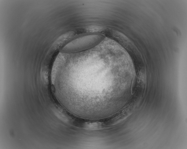 X0000114430452200911061646