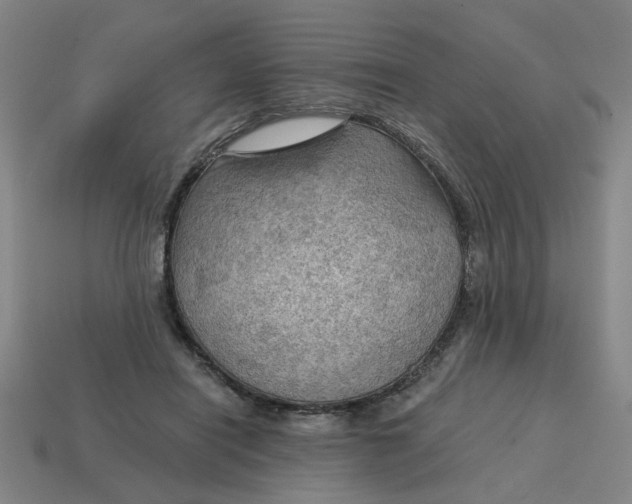 X0000114430454200911061646