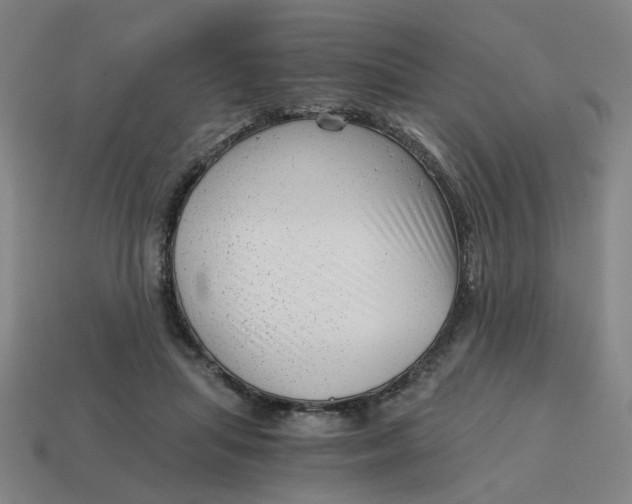 X0000114430455200911061646