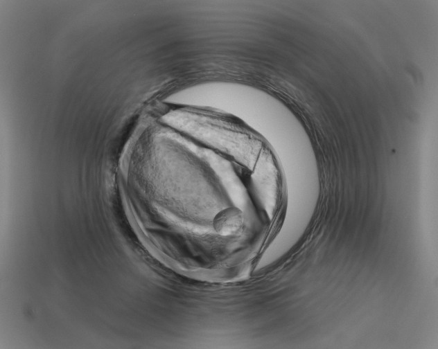 X0000114430456200911061646