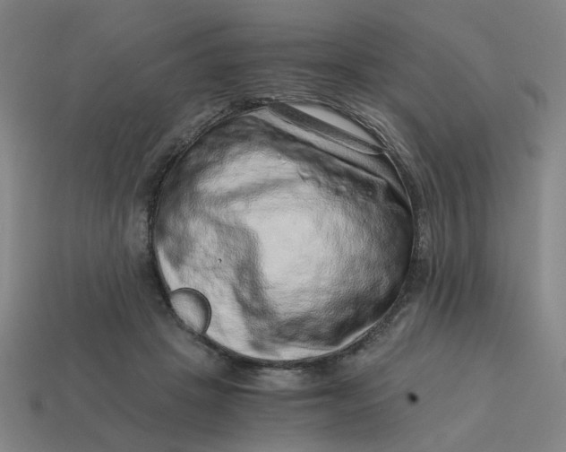 X0000114430457200911061646