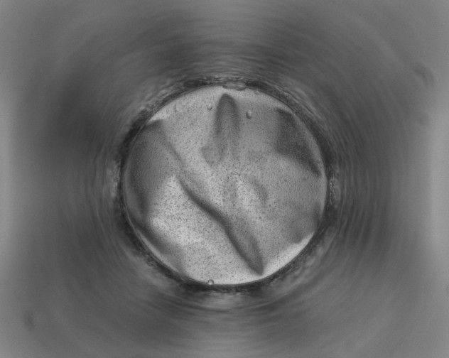 X0000114430458200911061646