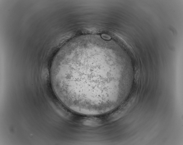 X0000114430459200911061646