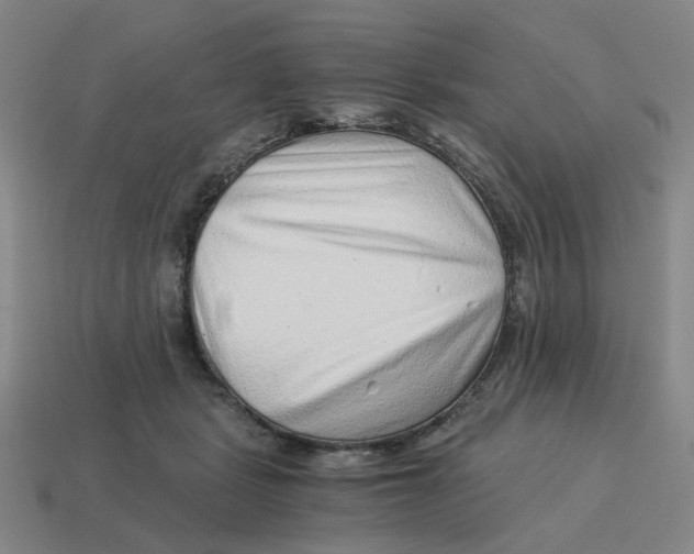 X0000114430461200911061646