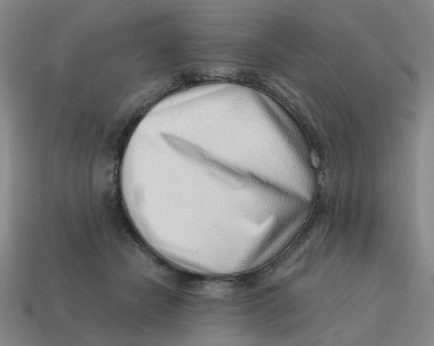 X0000114430462200911061646