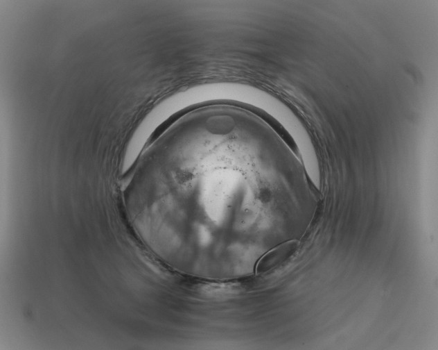 X0000114430465200911061646