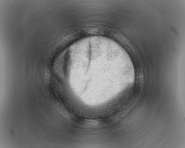 X0000114430469200911061646