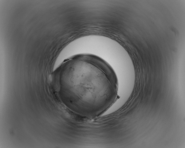 X0000114430471200911061646