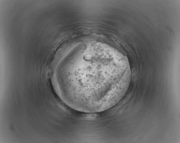 X0000114430474200911061646