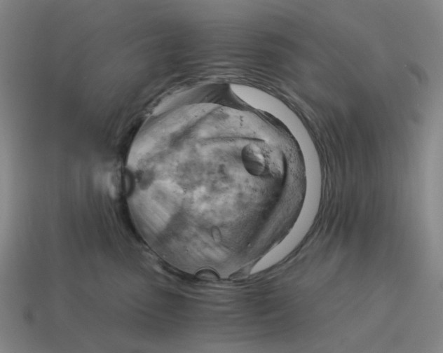 X0000114430475200911061646