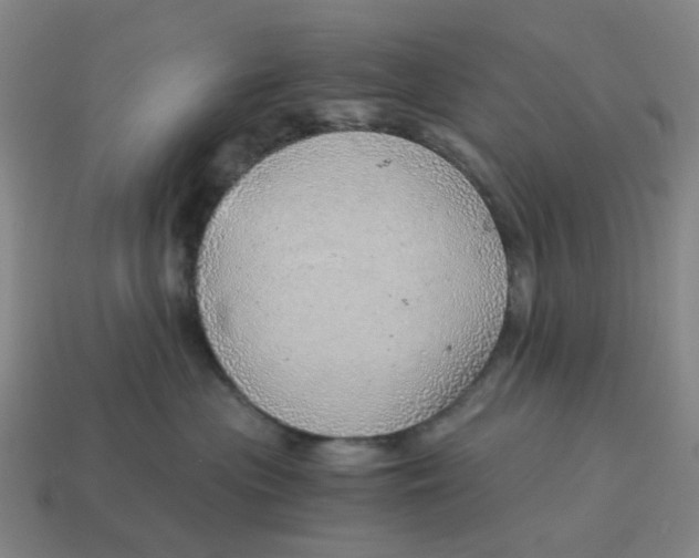 X0000114430477200911061646