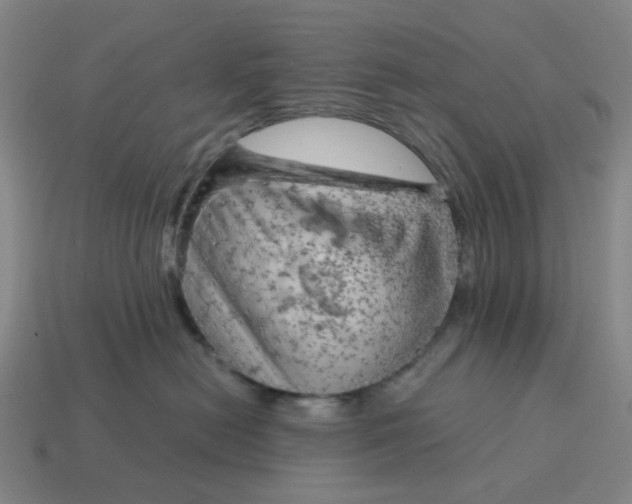 X0000114430478200911061646