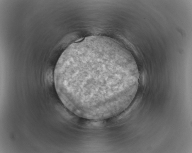 X0000114430479200911061647