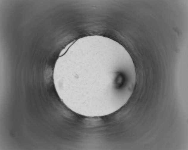 X0000114430480200911061647