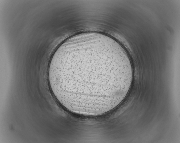 X0000114430481200911061646