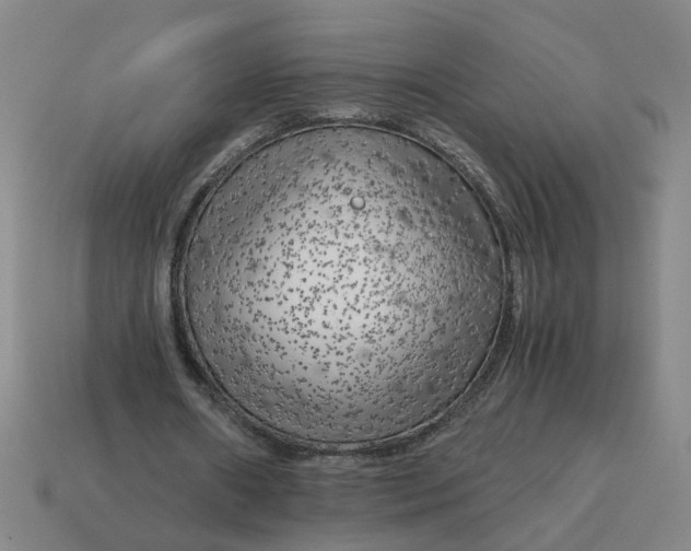 X0000114430482200911061646