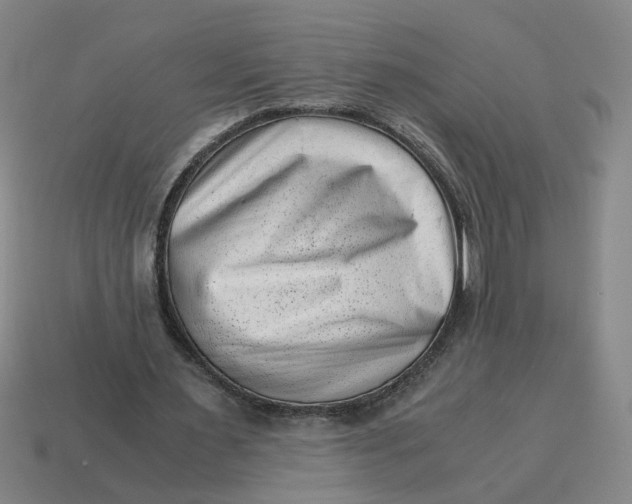 X0000114430483200911061646