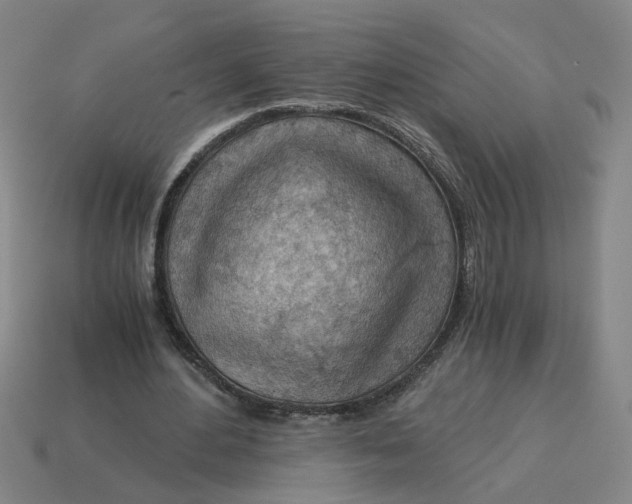 X0000114430484200911061646