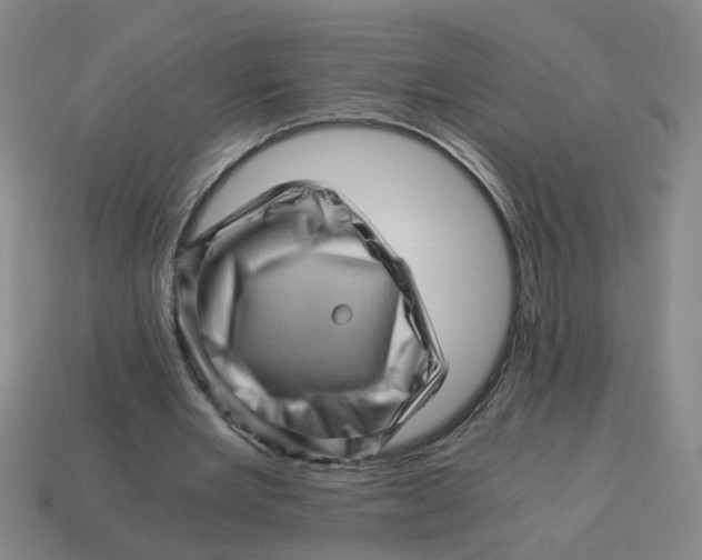 X0000114430485200911061646