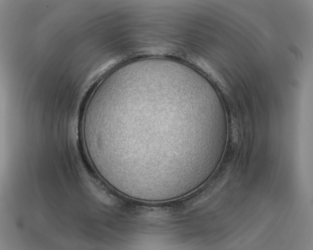 X0000114430486200911061646