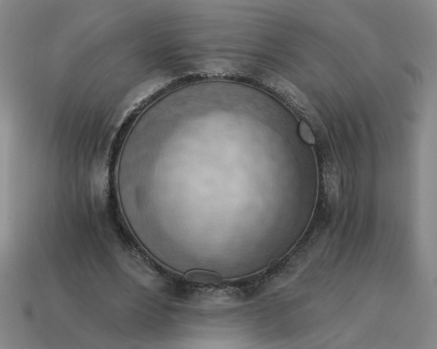 X0000114430488200911061646