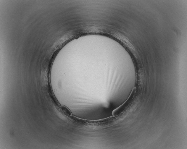 X0000114430489200911061646