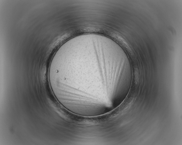 X0000114430490200911061646