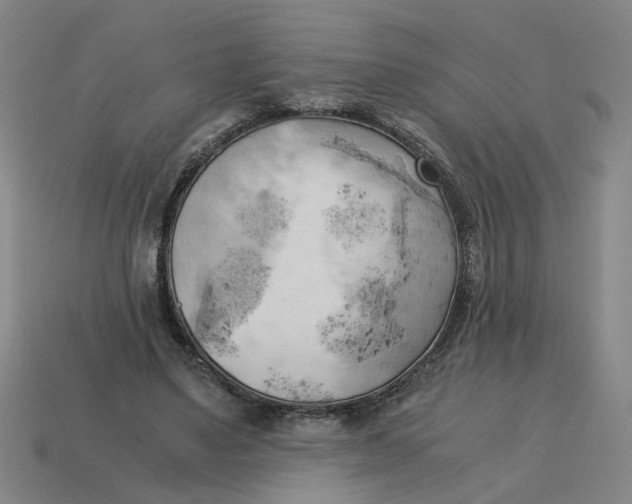 X0000114430491200911061646