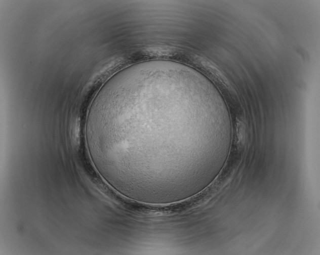 X0000114430494200911061646