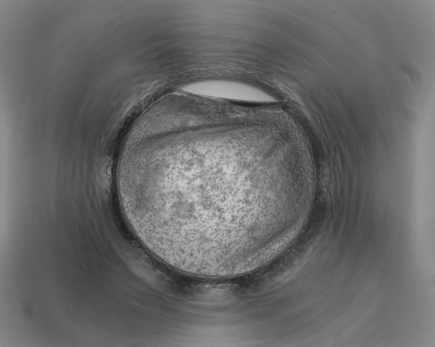 X0000114430495200911061646