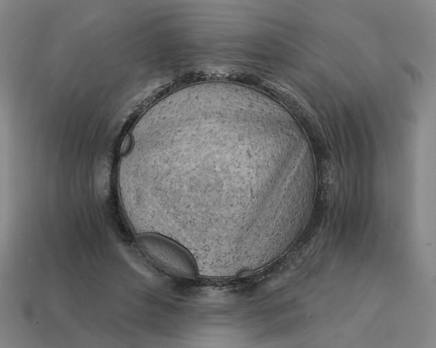 X0000114430496200911061646