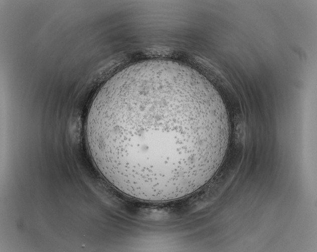 X0000114430498200911061646