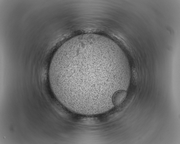X0000114430499200911061646