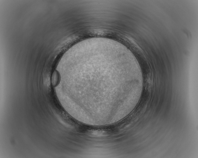 X0000114430500200911061646