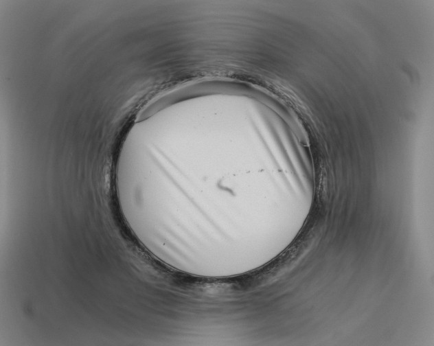 X0000114430501200911061646