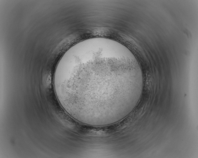 X0000114430502200911061646
