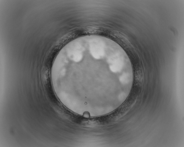 X0000114430503200911061646