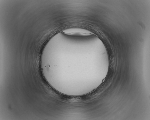 X0000114430505200911061646