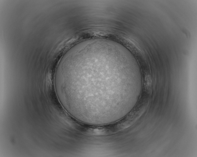 X0000114430506200911061646