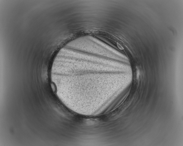 X0000114430508200911061646