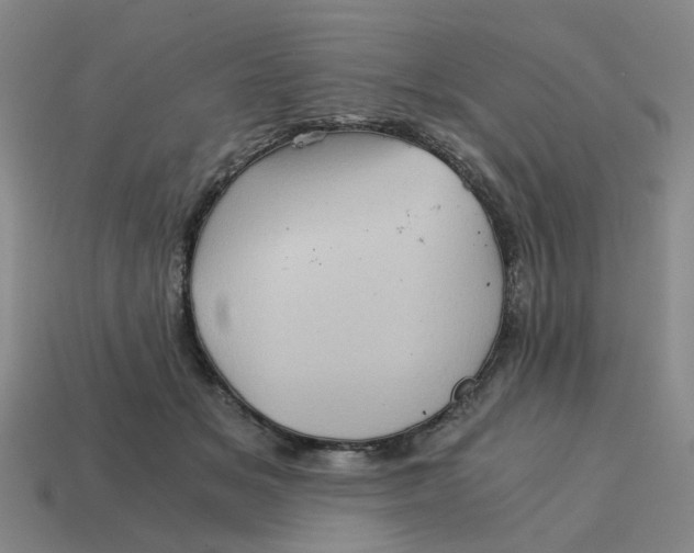 X0000114430509200911061646