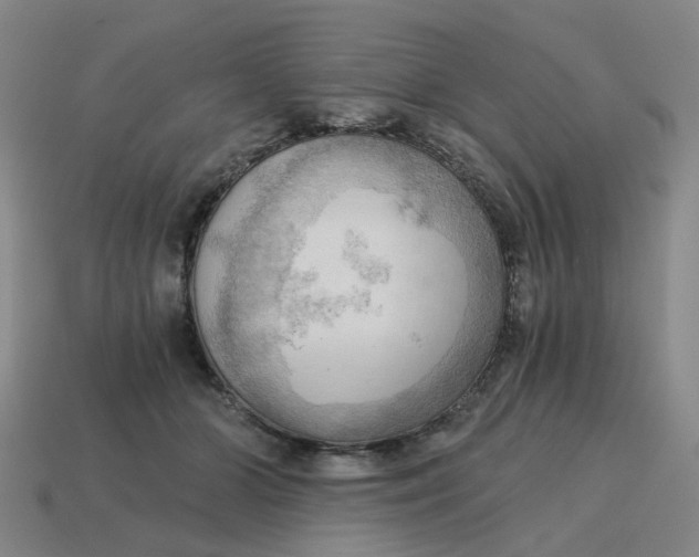 X0000114430510200911061646