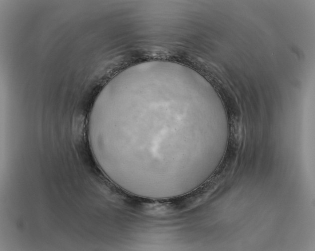 X0000114430511200911061646
