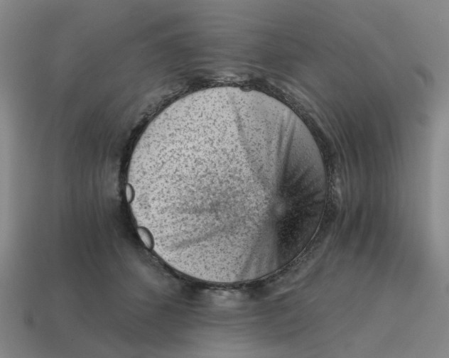 X0000114430512200911061646