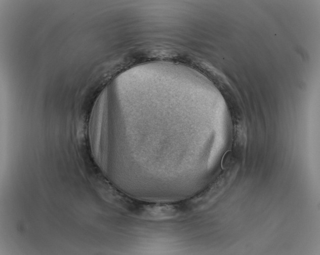 X0000114430517200911061645