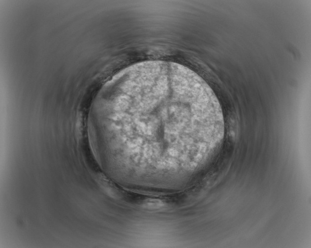 X0000114430519200911061645
