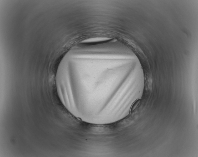 X0000114430521200911061645