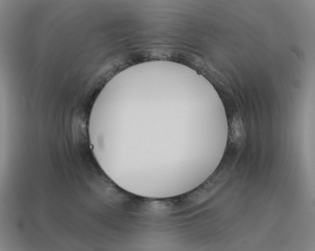 X0000114430522200911061645