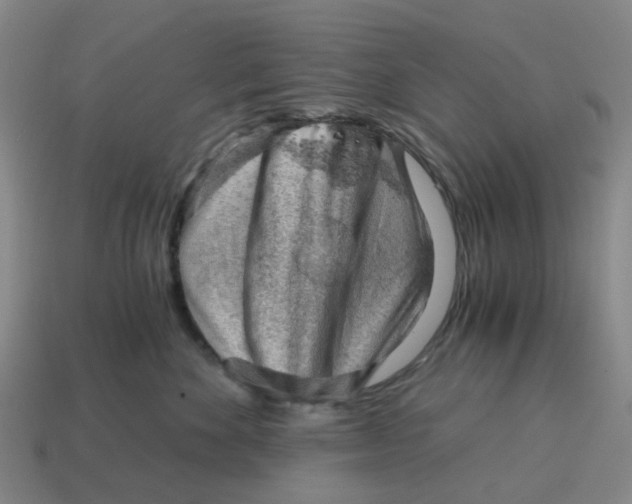 X0000114430524200911061645
